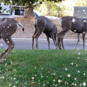 Meet your Posher, Arturo